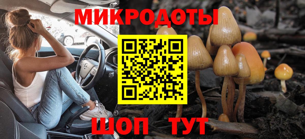 Псилоцибиновые грибы прущие грибы Донской