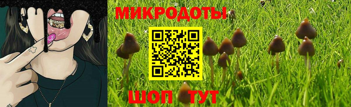 где найти   Вход с VPN  Донской  Галлюциногенные грибы Magic Shrooms 